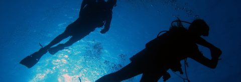 Train with Dive Connection