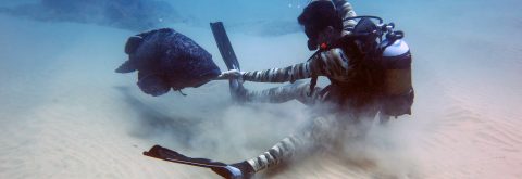 Buy your Scuba Equipment